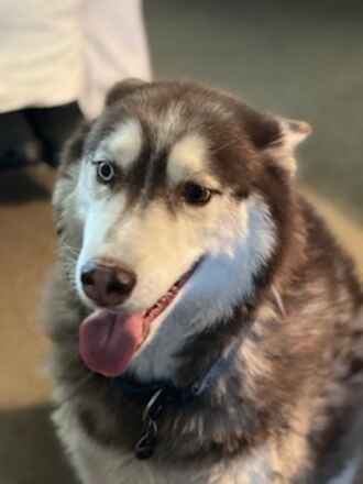 Duke...Urgent!