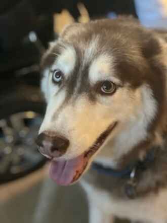 Duke...Urgent!