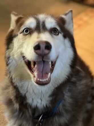 Duke...Urgent!