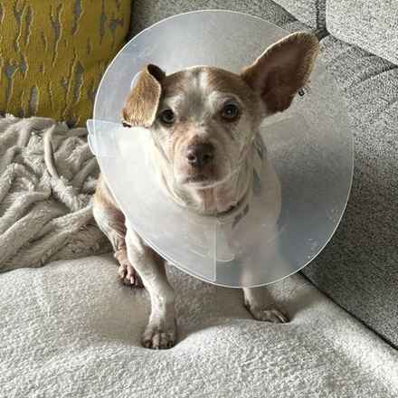 Fillmore Jazz