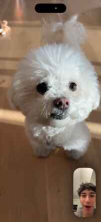 Bogey!