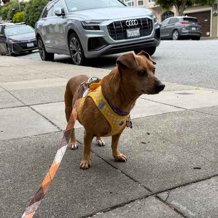Sunday Streets