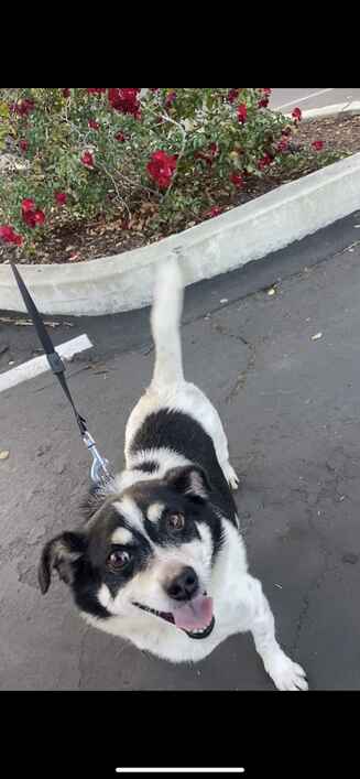 Kona!.