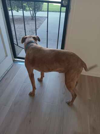 Monty!
