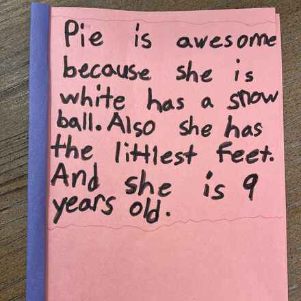 Pie