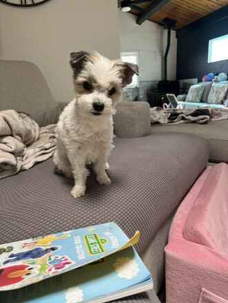 Maddie!