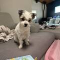 Maddie!