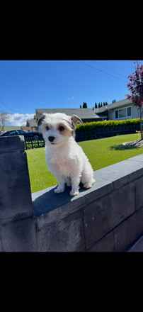 Maddie!
