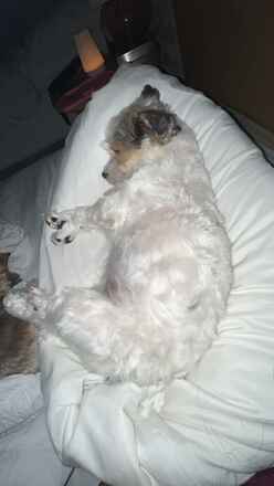 Maddie!