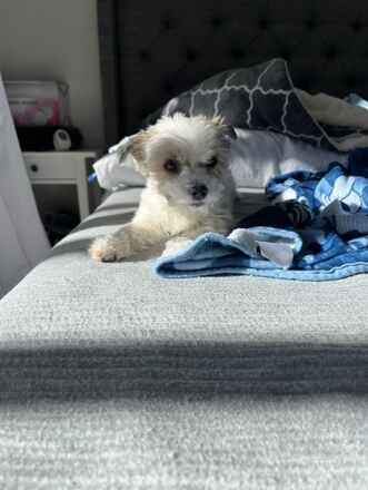 Maddie!
