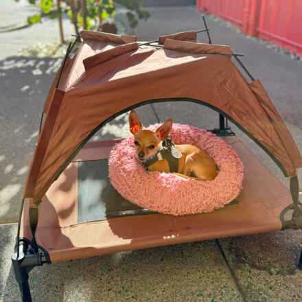 Side Net