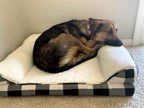 Lucy/Bella Urgent! OK to Separate