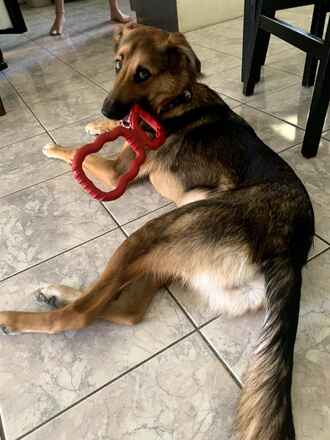 Lucy/Bella Urgent! OK to Separate