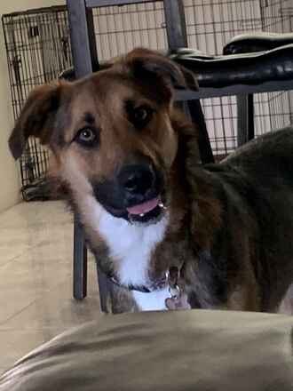 Lucy/Bella Urgent! OK to Separate