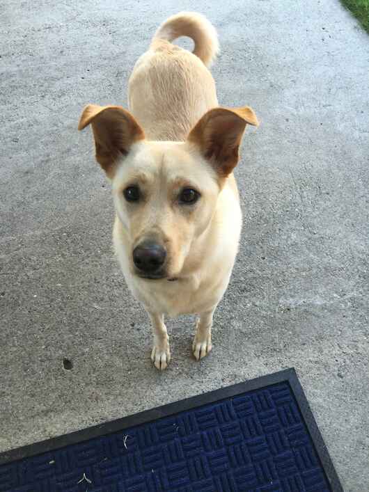Lucy/Bella Urgent! OK to Separate