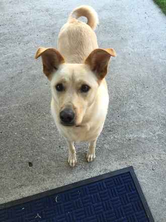 Lucy/Bella Urgent! OK to Separate