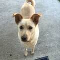 Lucy/Bella Urgent! OK to Separate
