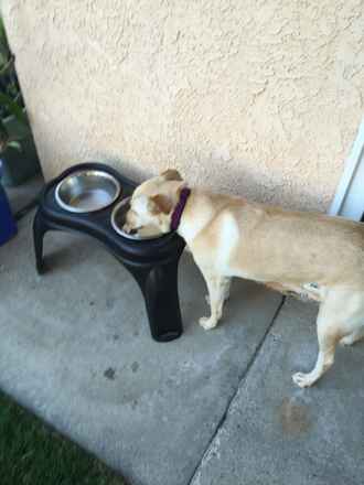 Lucy/Bella Urgent! OK to Separate