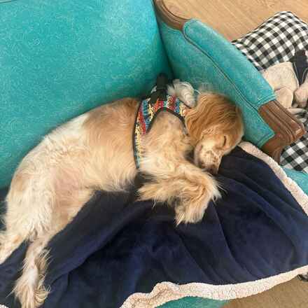 Moss (Tuck)