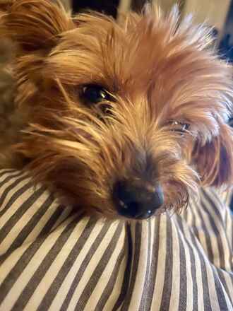 Maggie!
