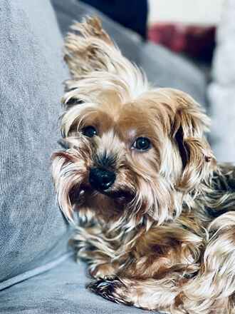 Maggie!