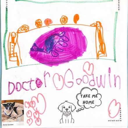 Doctor Goodwin