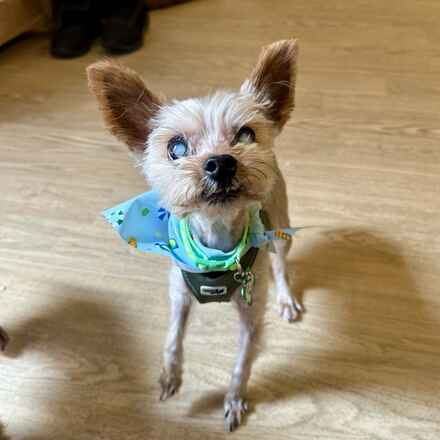 Charlie Barkin