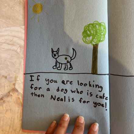 Neil the Seal