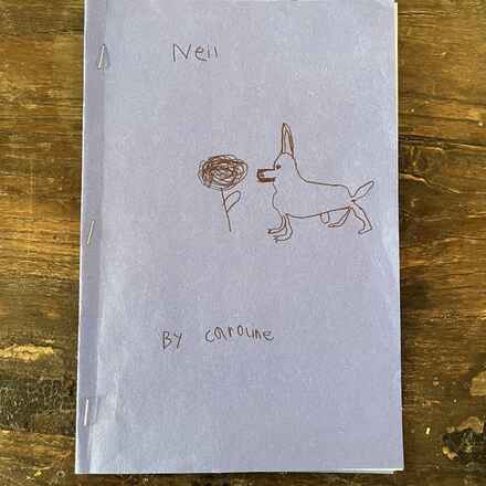 Neil the Seal
