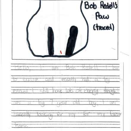 Bob Redell