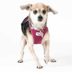 Gidget