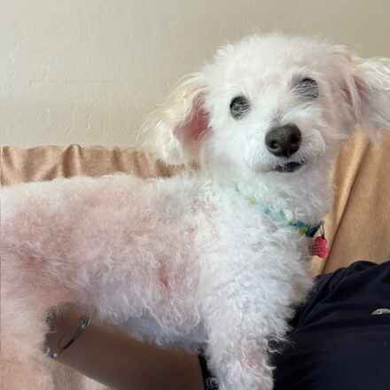 Floatie