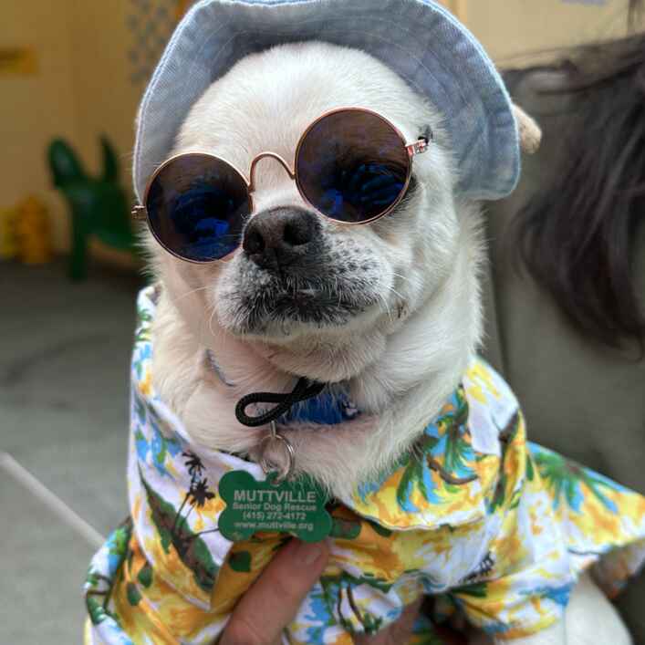 Pool Party
