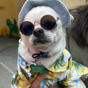 Pool Party