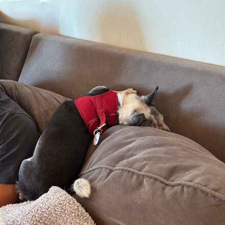 Loveseat