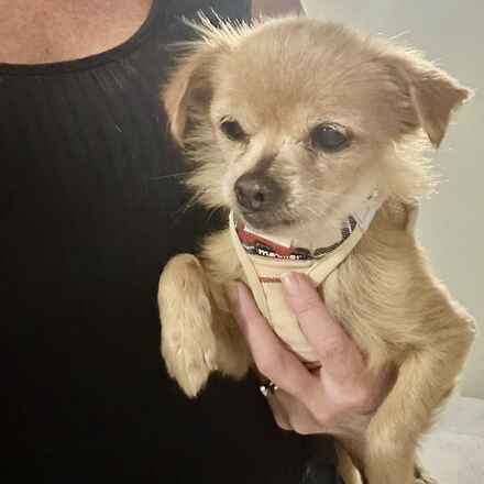 Pouf