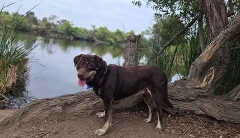Bella! Urgent!