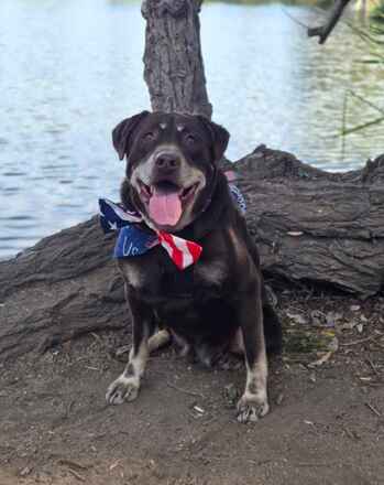 Bella! Urgent!
