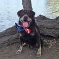 Bella! Urgent!