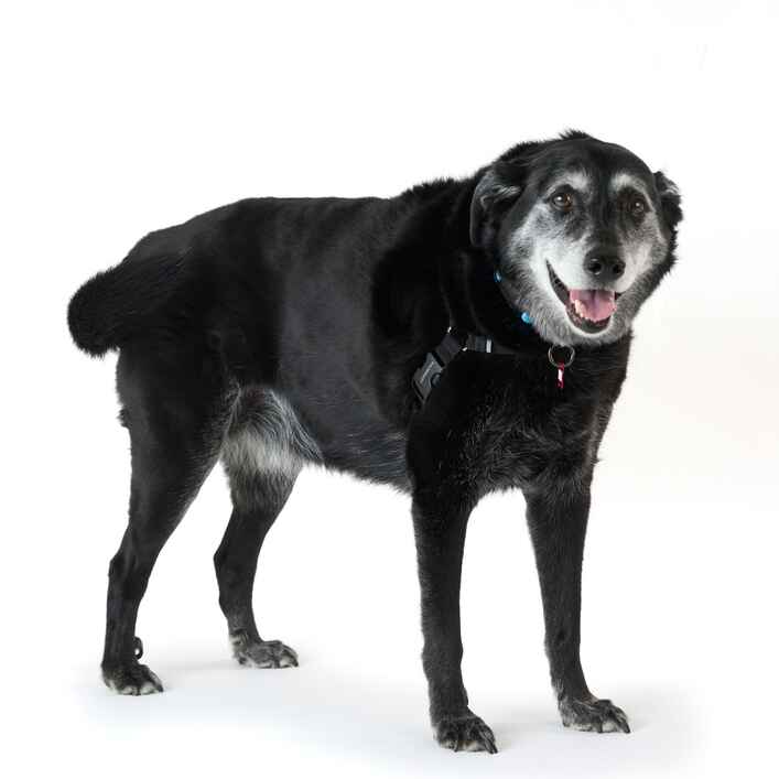 Bea