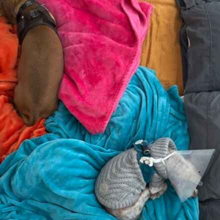 Herman Miller