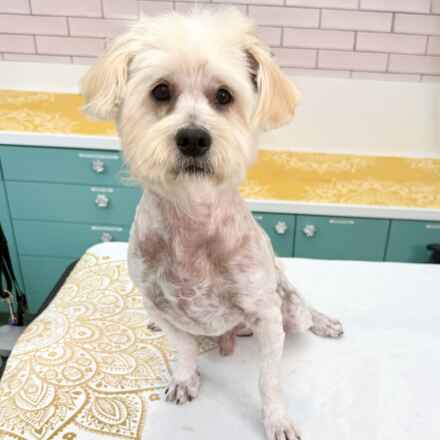 Record