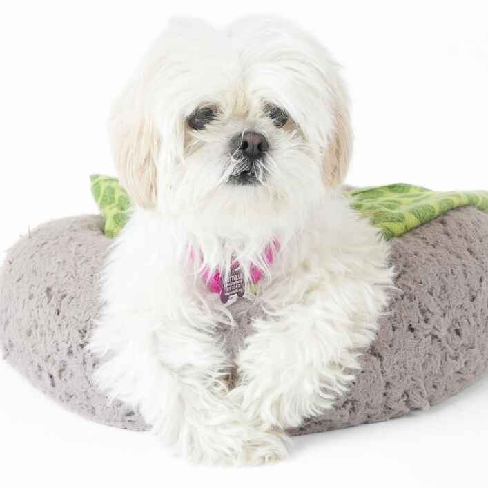 Truvy
