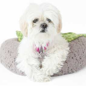 Truvy