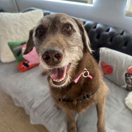 Addie