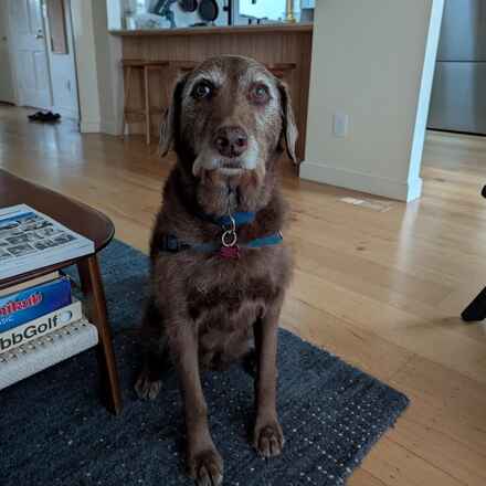Addie