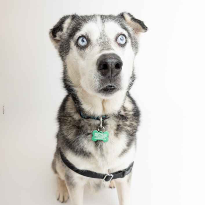 Marley