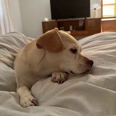 Delilah