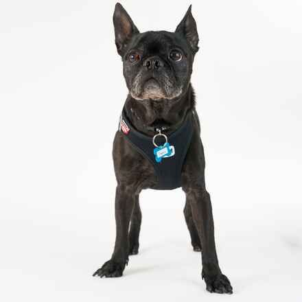 Pugsley