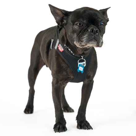 Pugsley